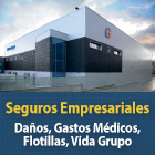 SegurosEmpresariales